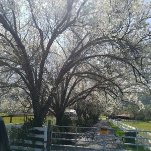 Meet your Posher, Lyn